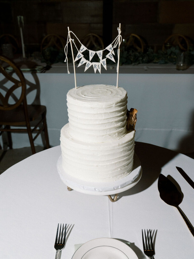 Two-tiered white cake 