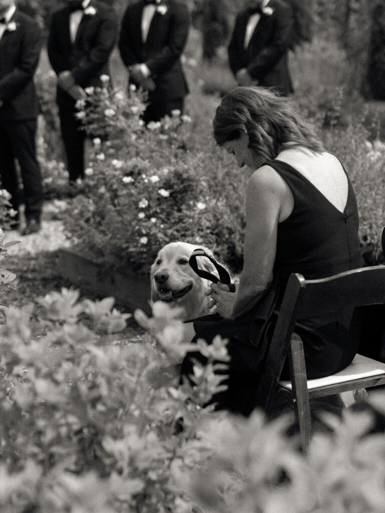 Black and white candid wedding ceremony photo of the mother of the bride with the couples dog