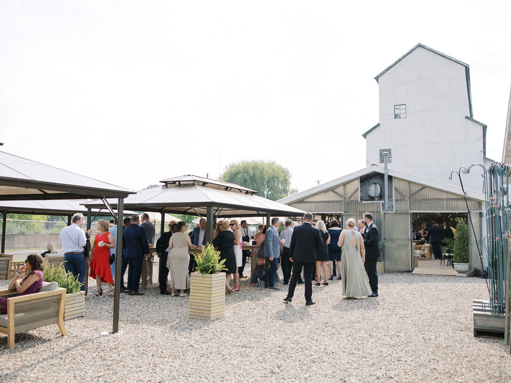 Guests mingling during cocktail hour