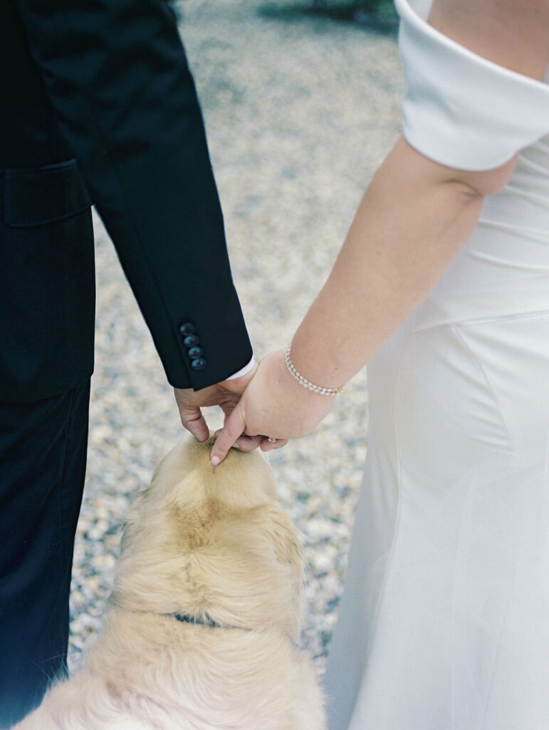 Film photo of a bride and groom holding hands with their dog joining them 