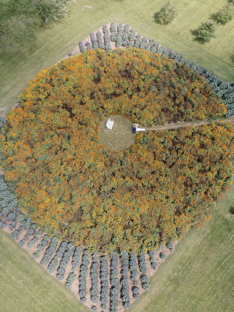 Drone view of circular marigold garden with couple standing in center at Of The Land wedding venue.