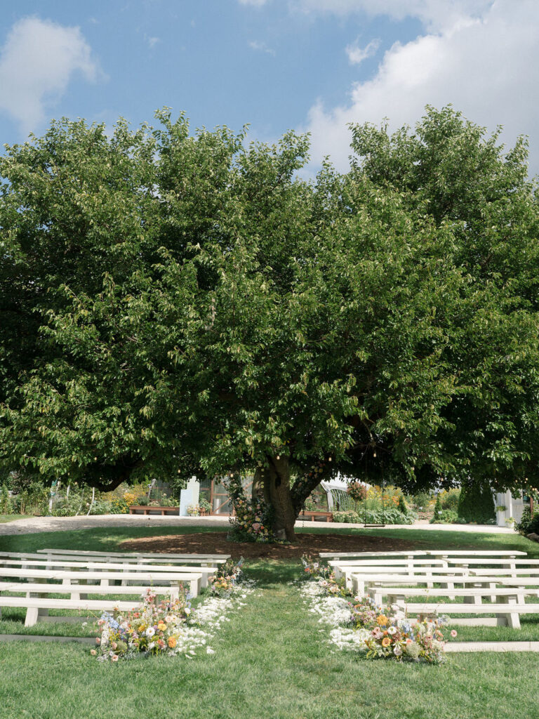 Ceremony setup beneath the Mulberry tree with wooden benches at Of The Land.