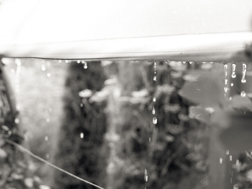 Black and white photo of raindrops falling from the canopy at Of The Land wedding.