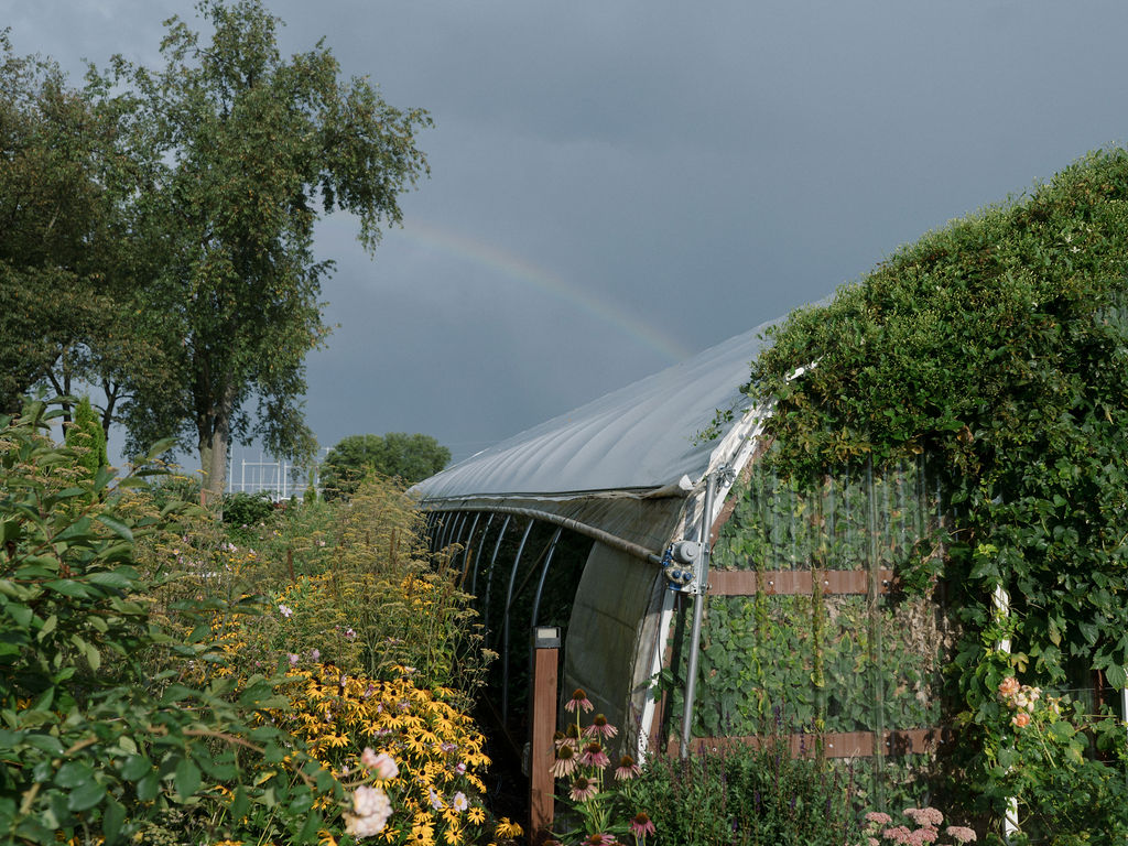 Close up of the greenhouse with a rainbow in the background at Of The Land wedding venue in Michigan.
